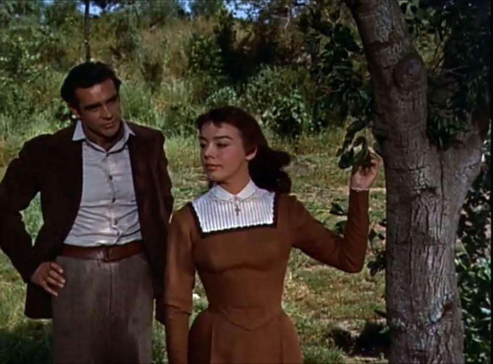 四つの願いの画像