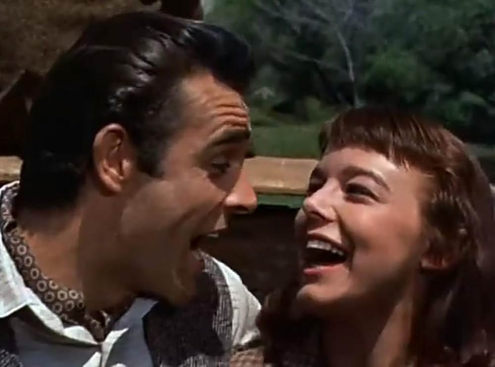 四つの願いの画像