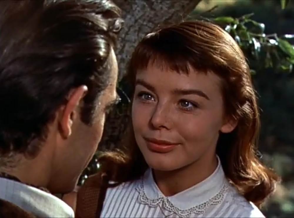 四つの願いの画像