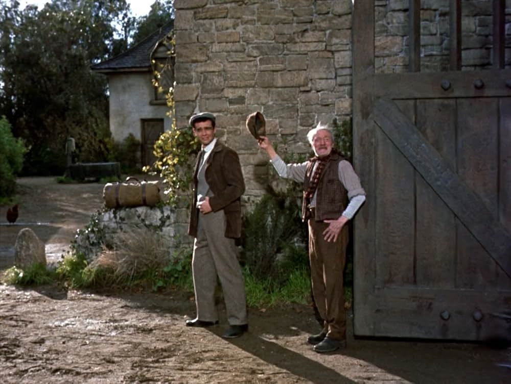 四つの願いの画像