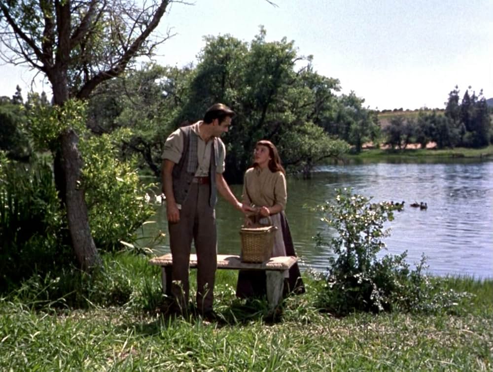 四つの願いの画像