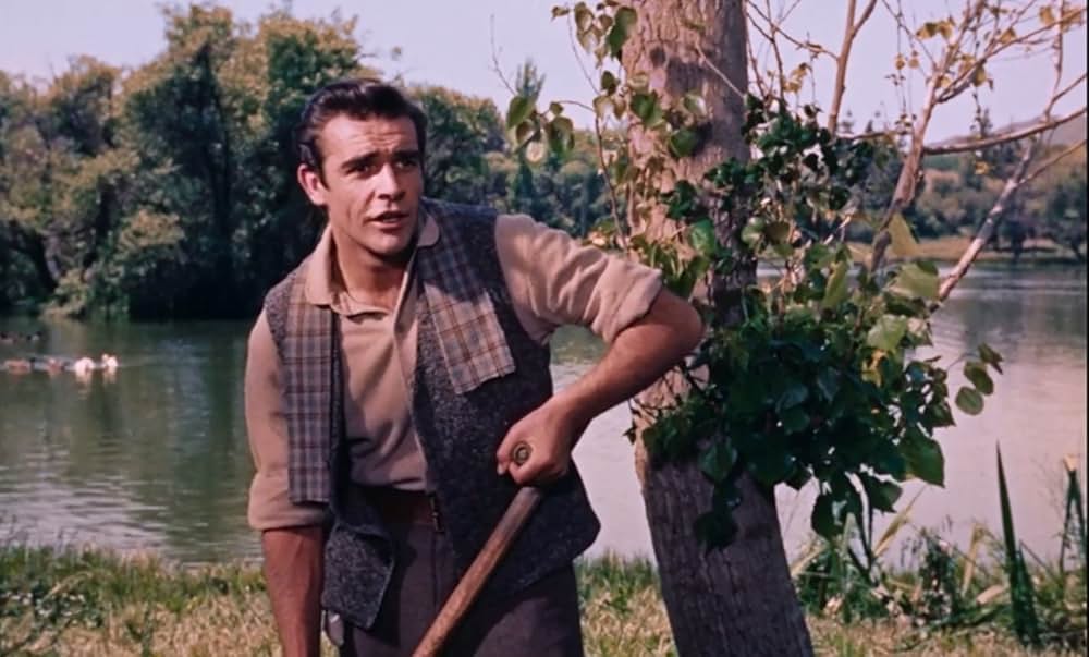 四つの願いの画像