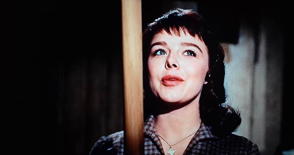 四つの願いの画像