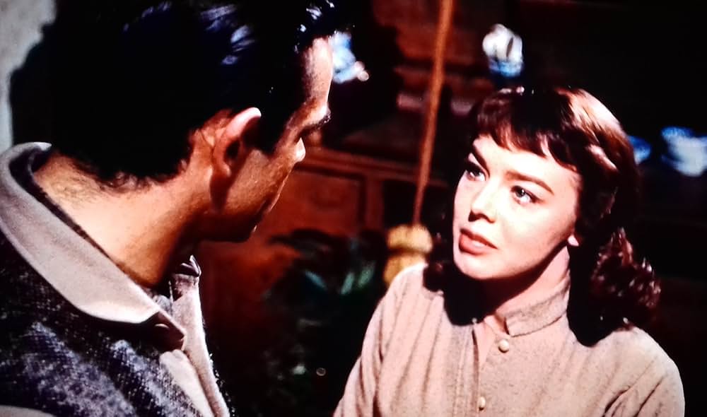 四つの願いの画像