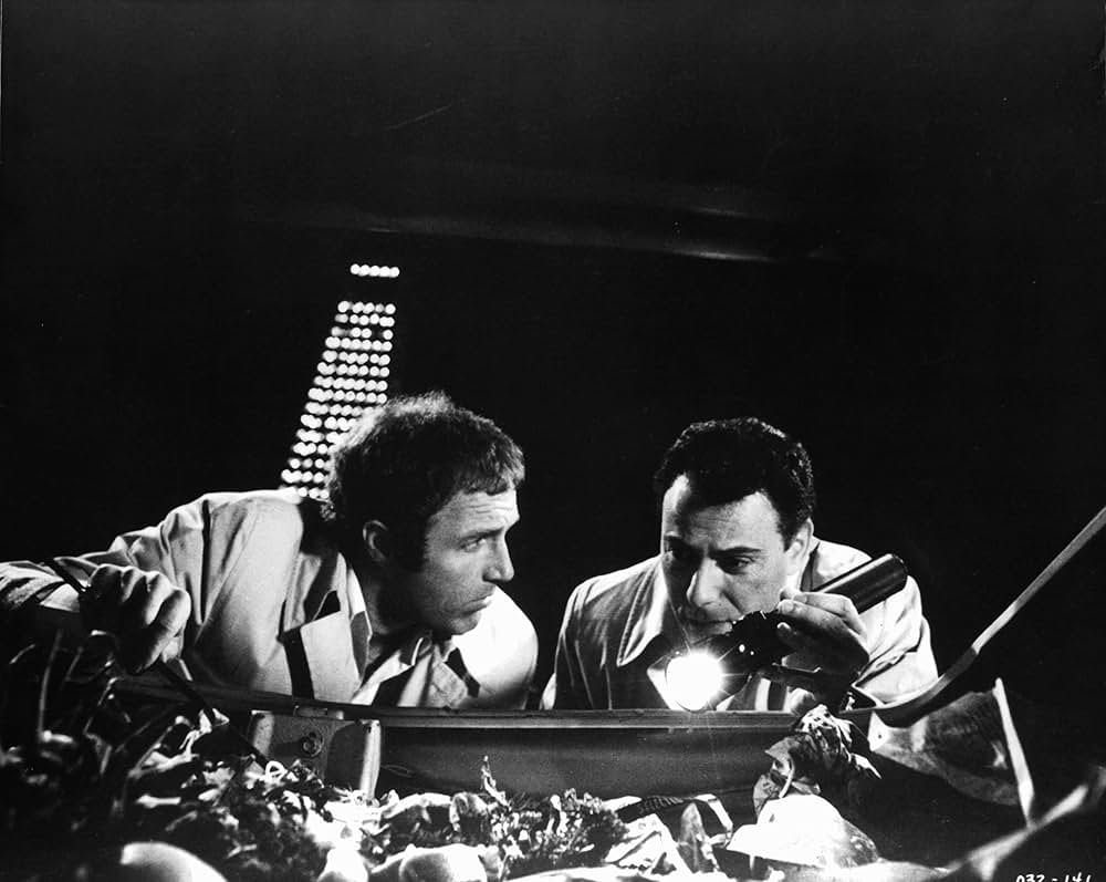 フリービーとビーン／大乱戦の画像