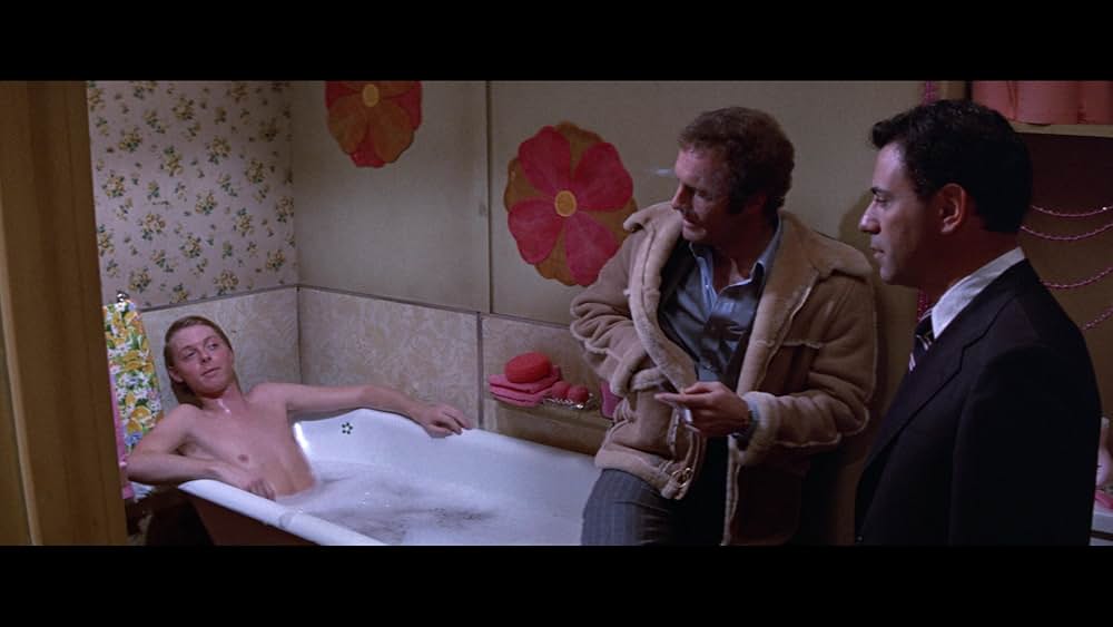 フリービーとビーン／大乱戦の画像