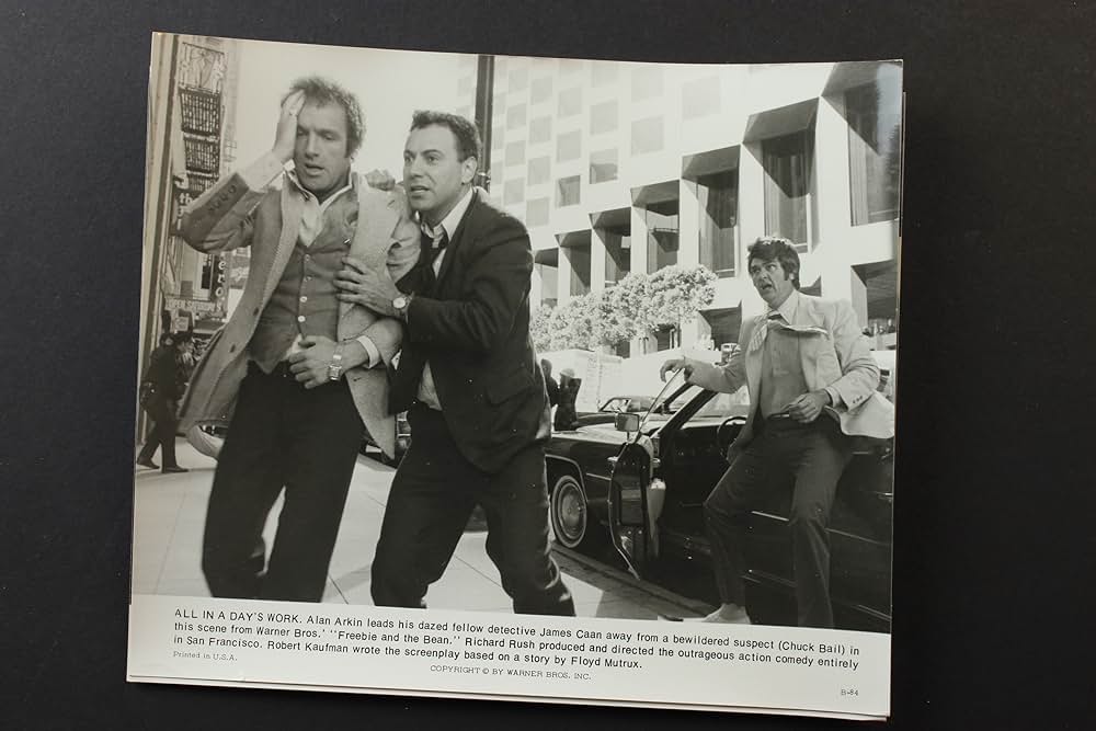 フリービーとビーン／大乱戦の画像