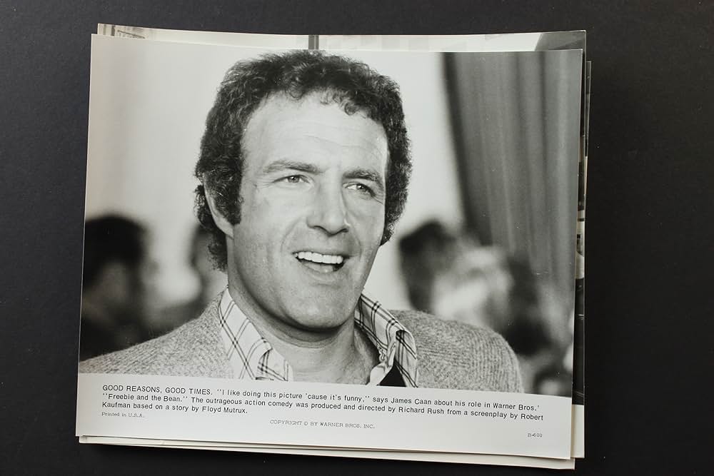 フリービーとビーン／大乱戦の画像