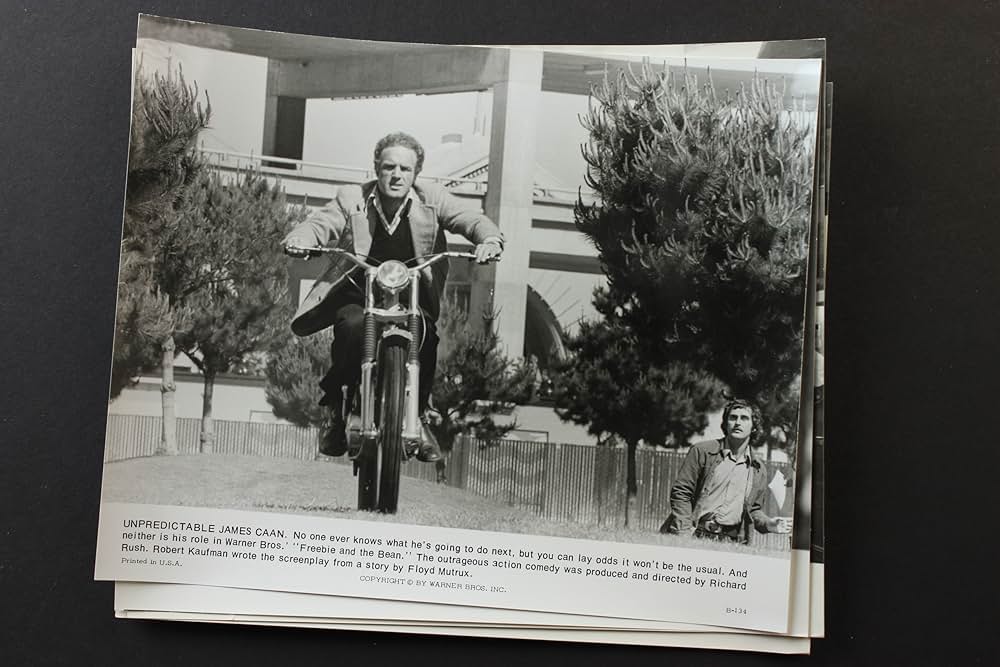 フリービーとビーン／大乱戦の画像