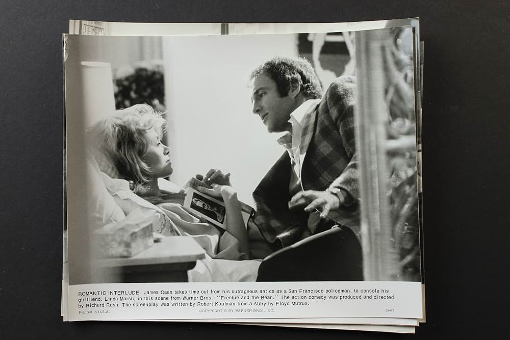 フリービーとビーン／大乱戦の画像