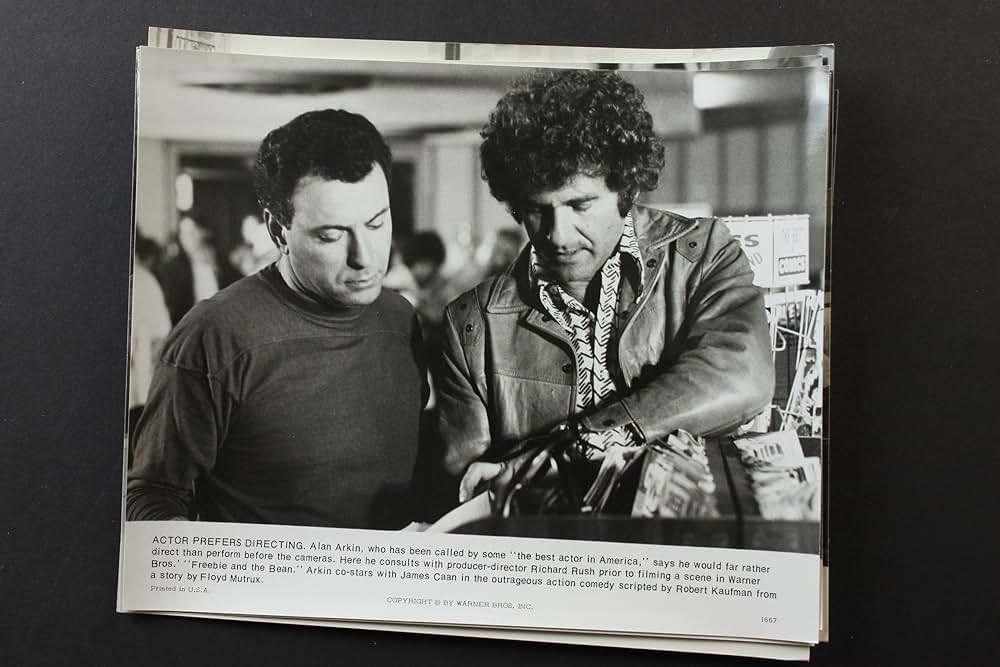 フリービーとビーン／大乱戦の画像