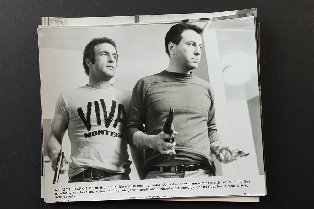 フリービーとビーン／大乱戦の画像