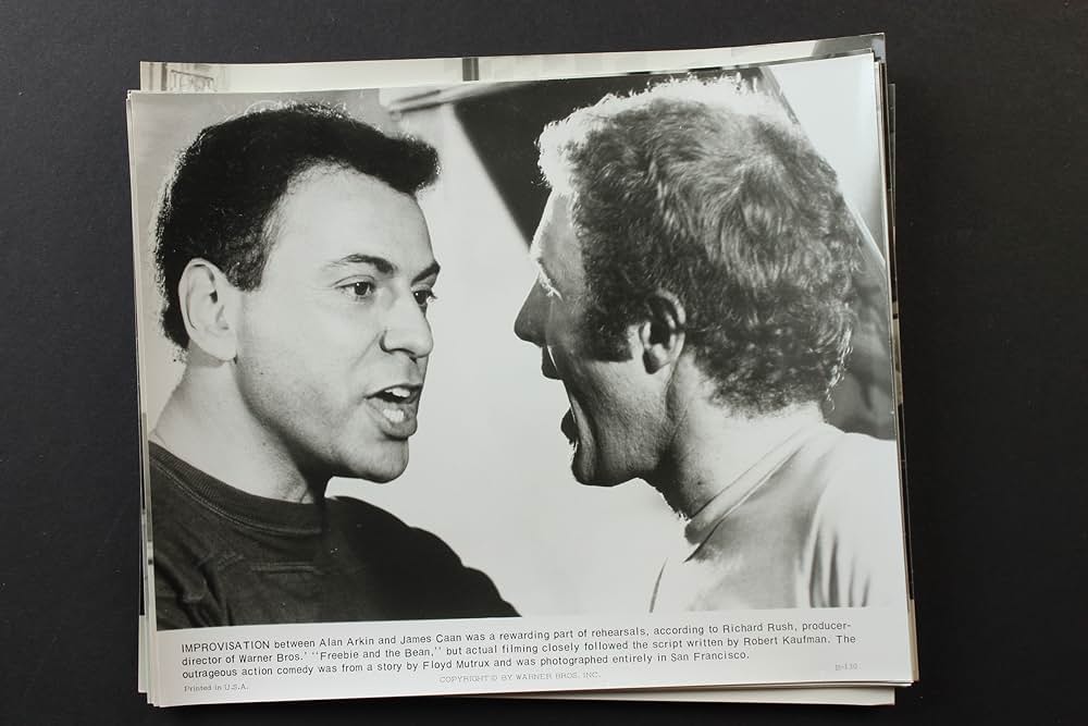 フリービーとビーン／大乱戦の画像