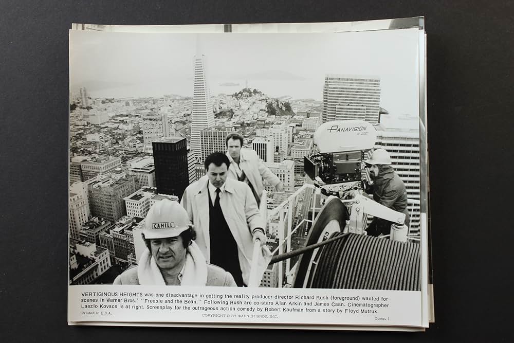 フリービーとビーン／大乱戦の画像