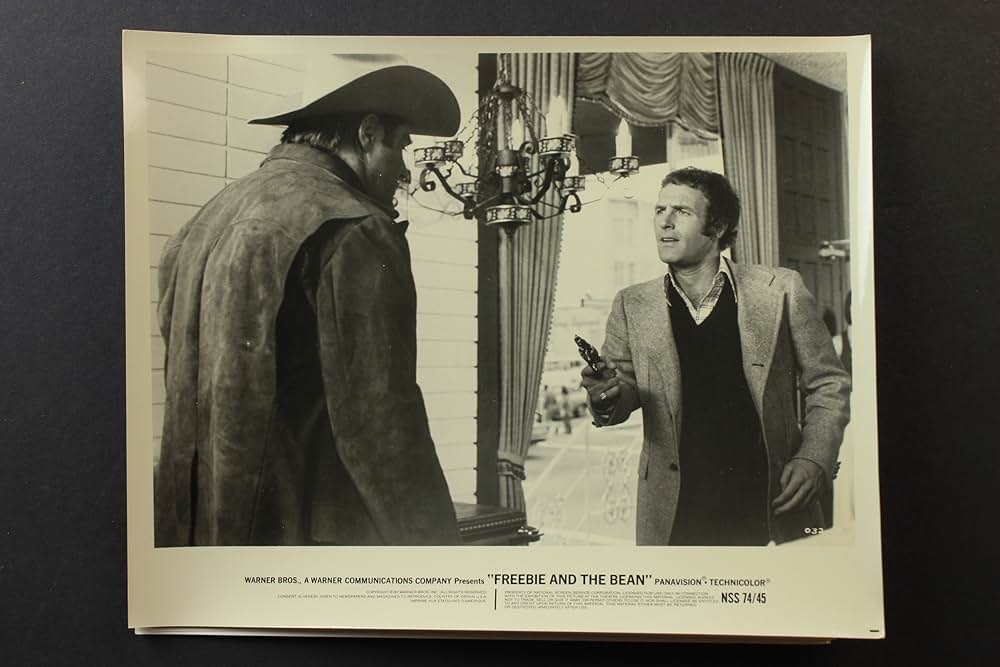 フリービーとビーン／大乱戦の画像