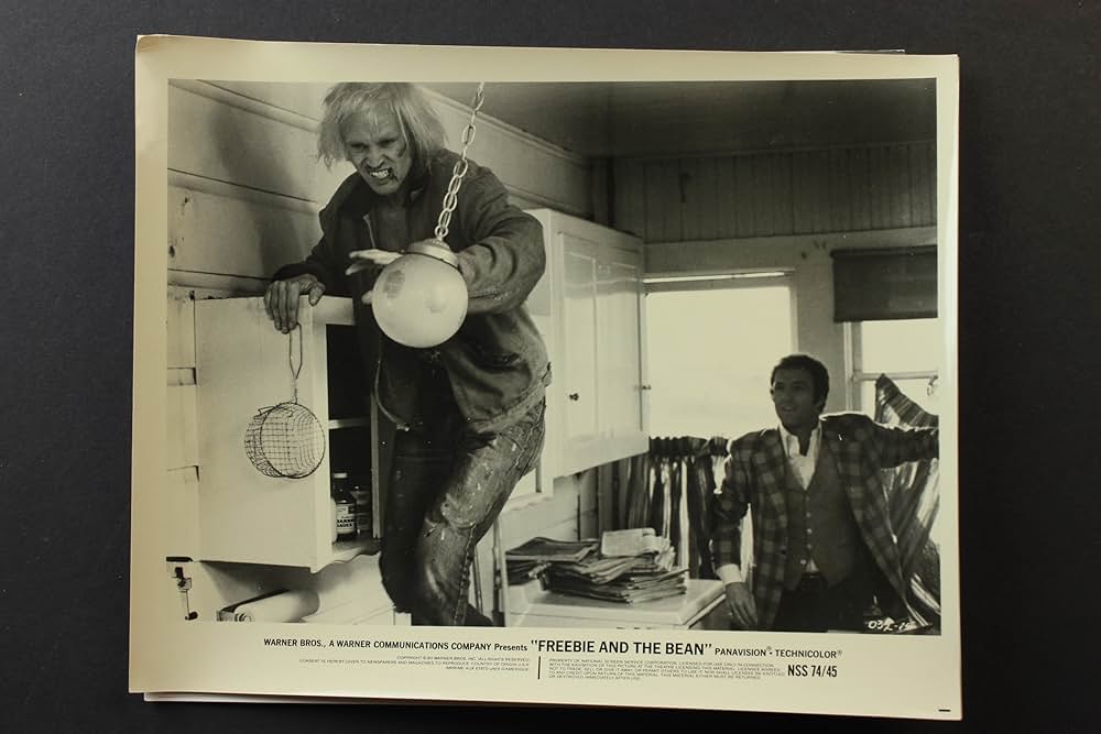 フリービーとビーン／大乱戦の画像