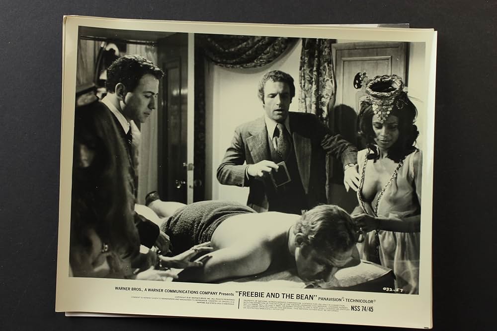 フリービーとビーン／大乱戦の画像