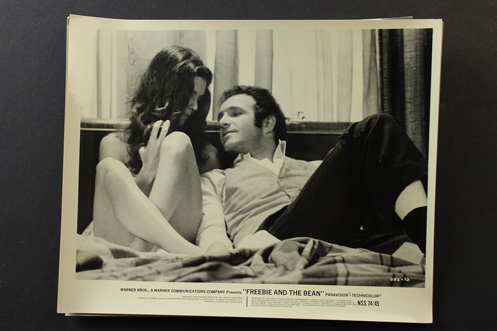 フリービーとビーン／大乱戦の画像