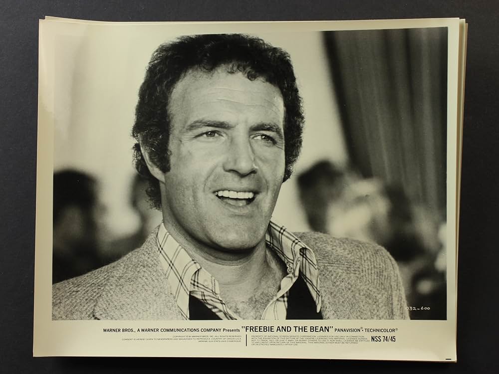 フリービーとビーン／大乱戦の画像