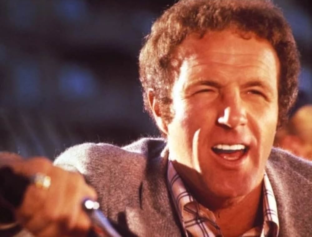 フリービーとビーン／大乱戦の画像