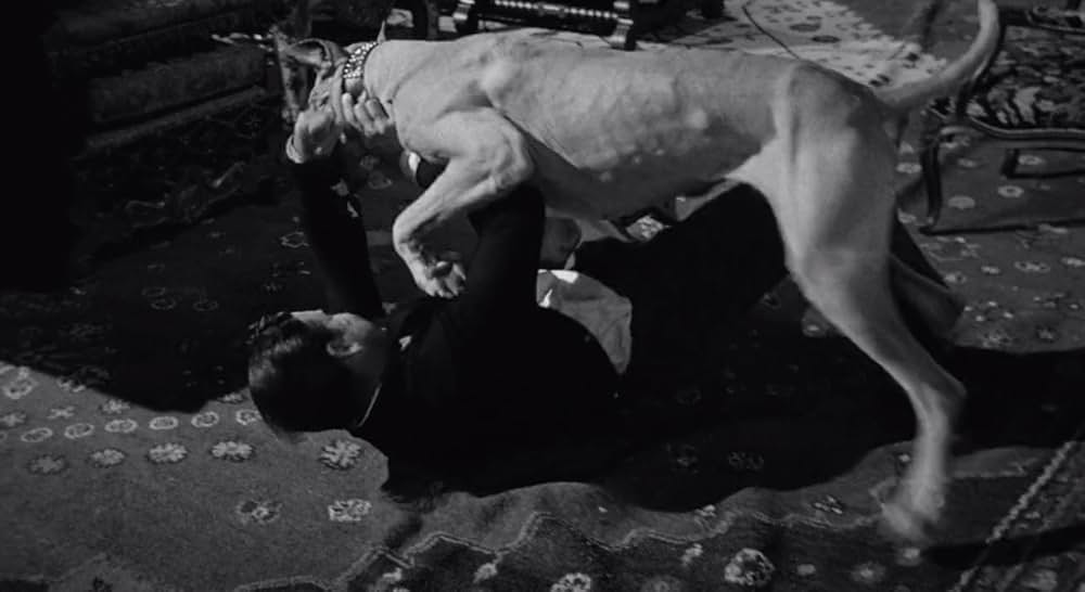 誰が私を殺したか?の画像