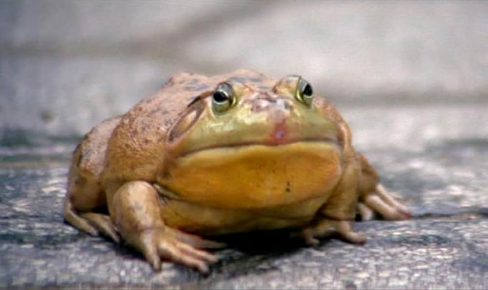 「幸せはパリで」の画像