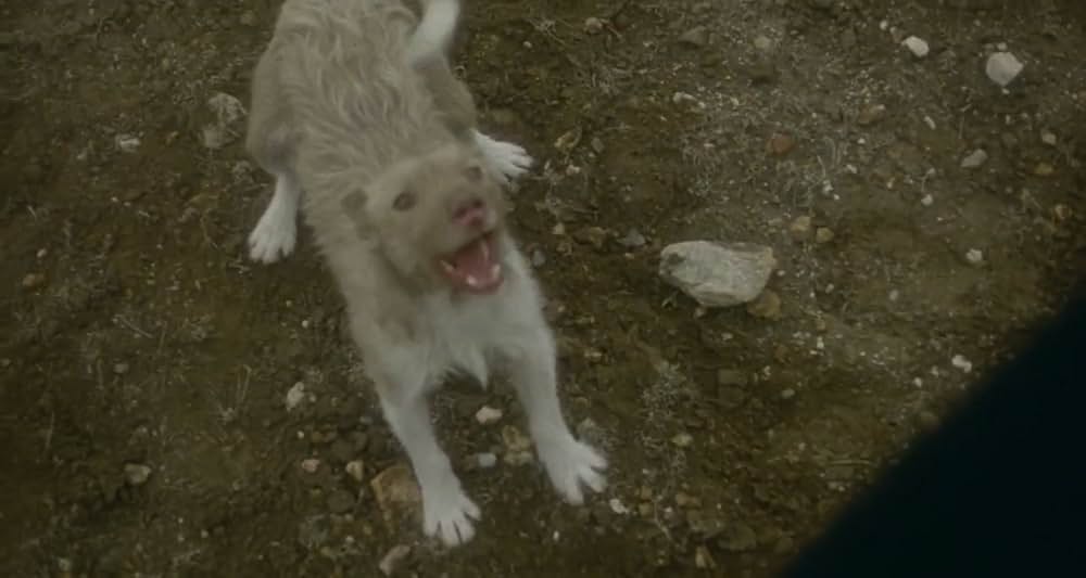 荒野の処刑の画像