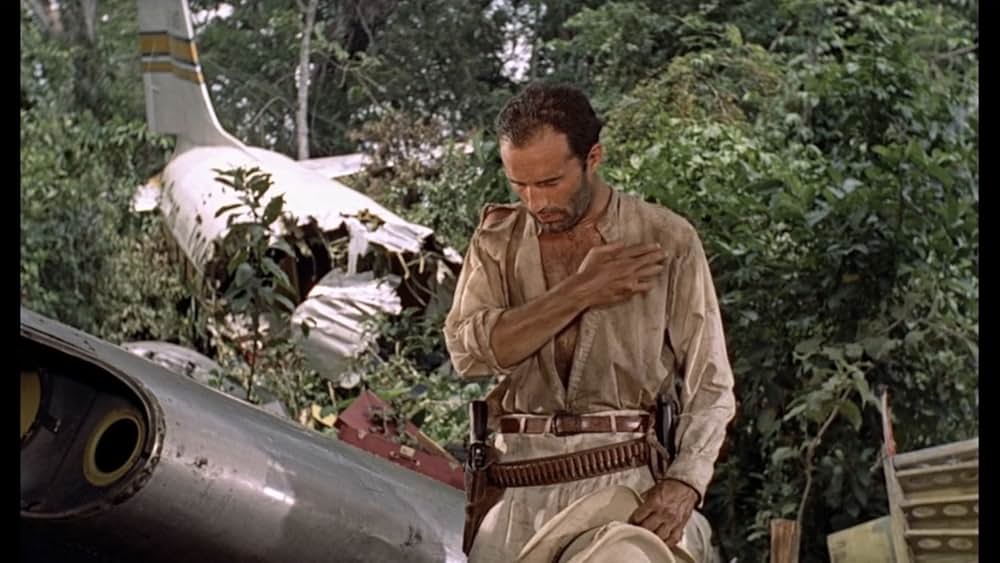 この庭に死すの画像