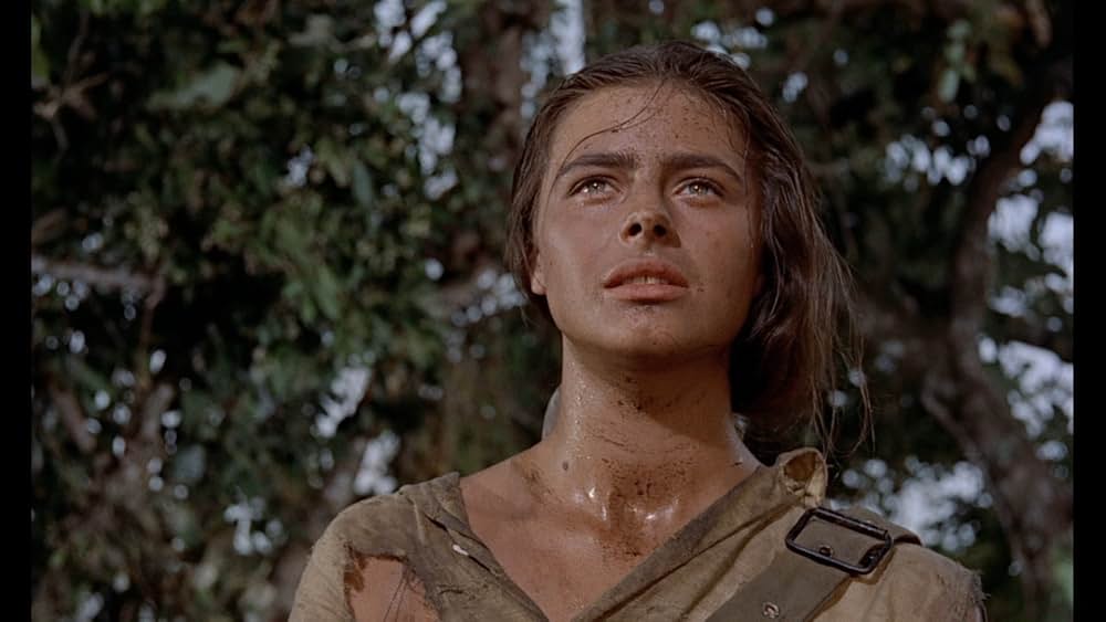 この庭に死すの画像