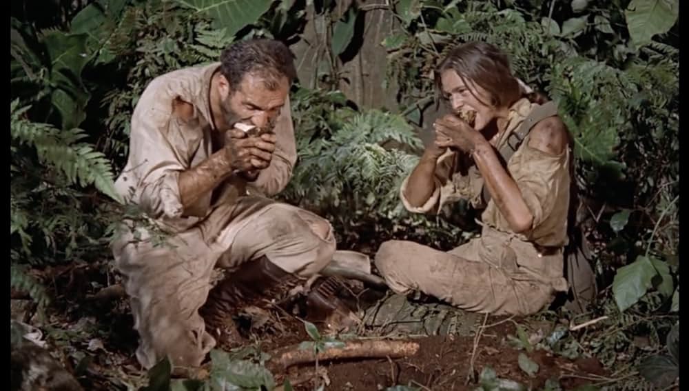 この庭に死すの画像