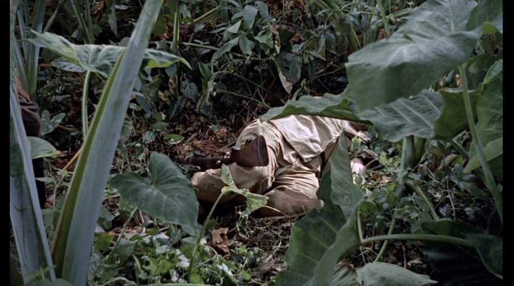 この庭に死すの画像