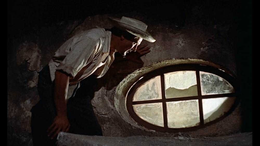 この庭に死すの画像