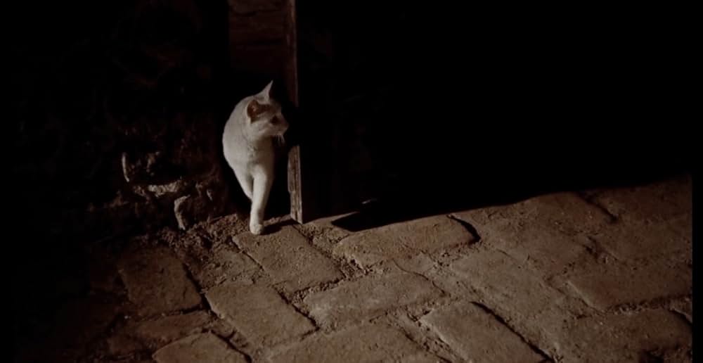 この庭に死すの画像