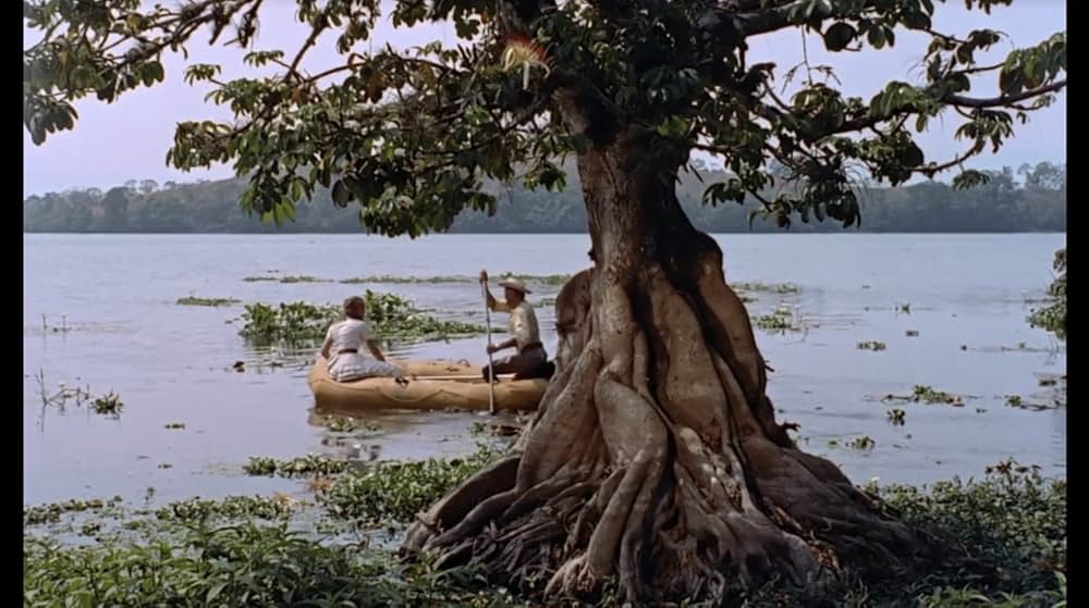 この庭に死すの画像