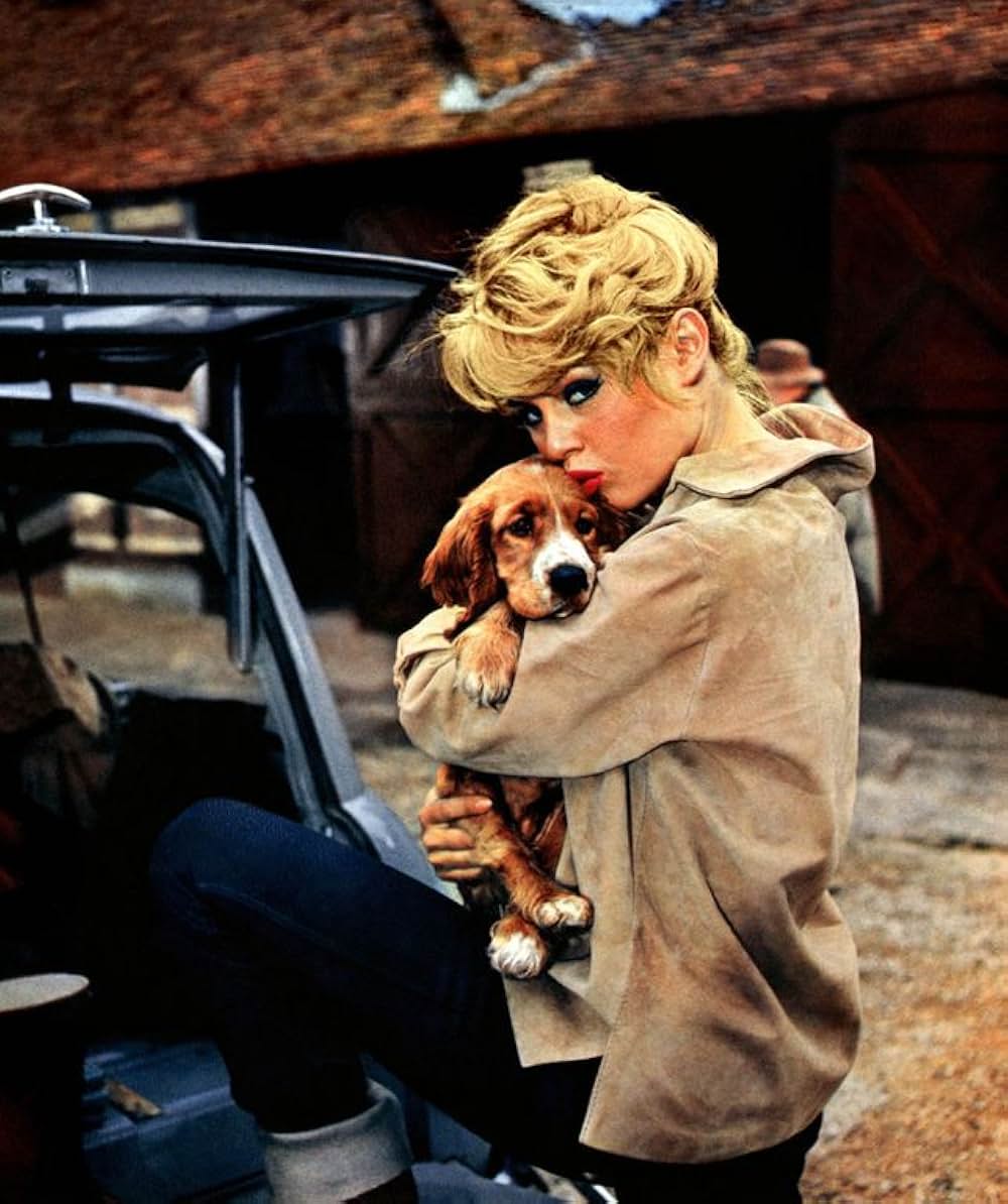 殿方ご免遊ばせの画像