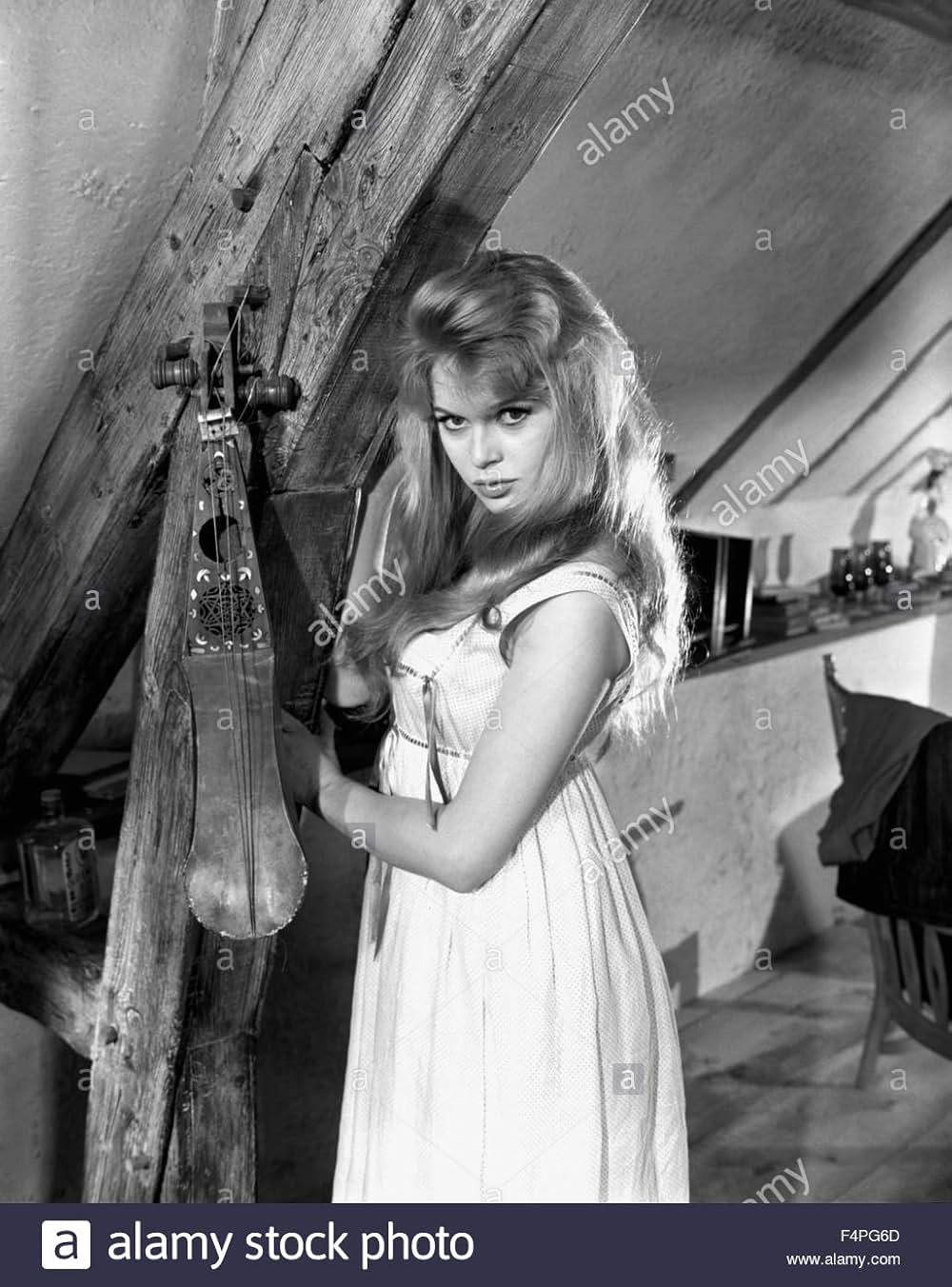 殿方ご免遊ばせの画像