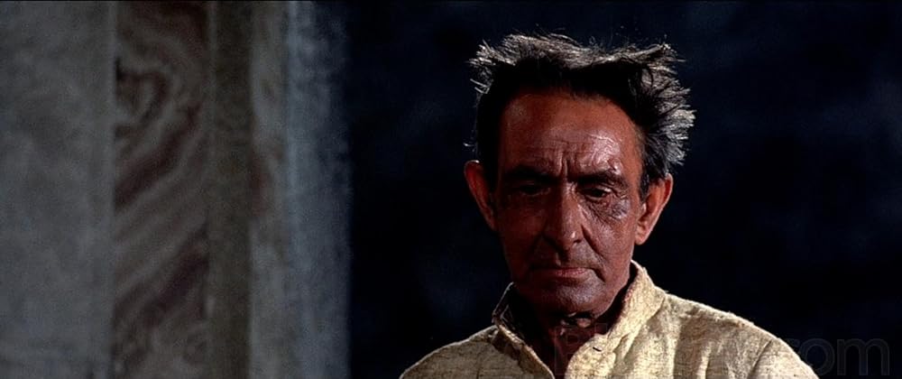 野性の眼の画像