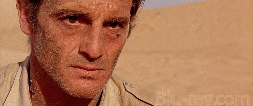 野性の眼の画像