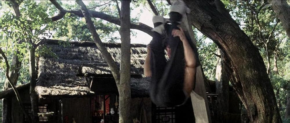 クレージーモンキー／笑拳の画像