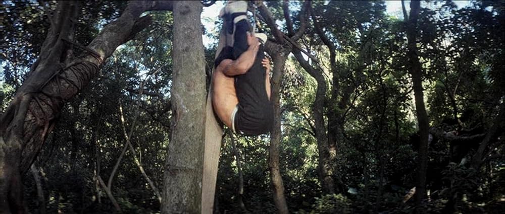 クレージーモンキー／笑拳の画像