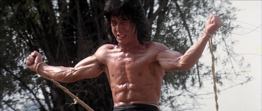 クレージーモンキー／笑拳の画像