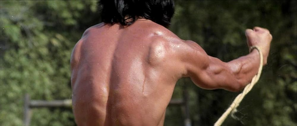 クレージーモンキー／笑拳の画像