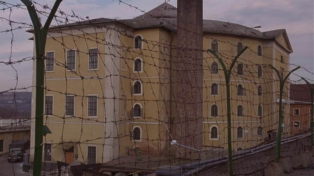 エム・バタフライの画像