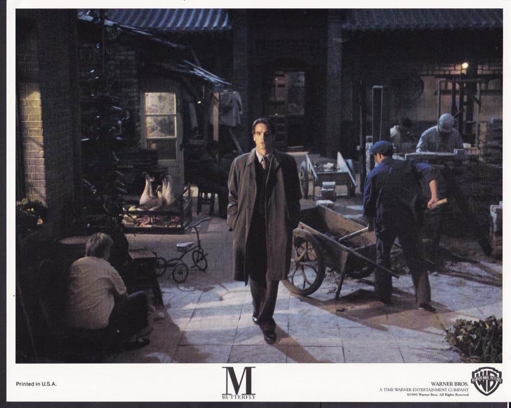 エム・バタフライの画像