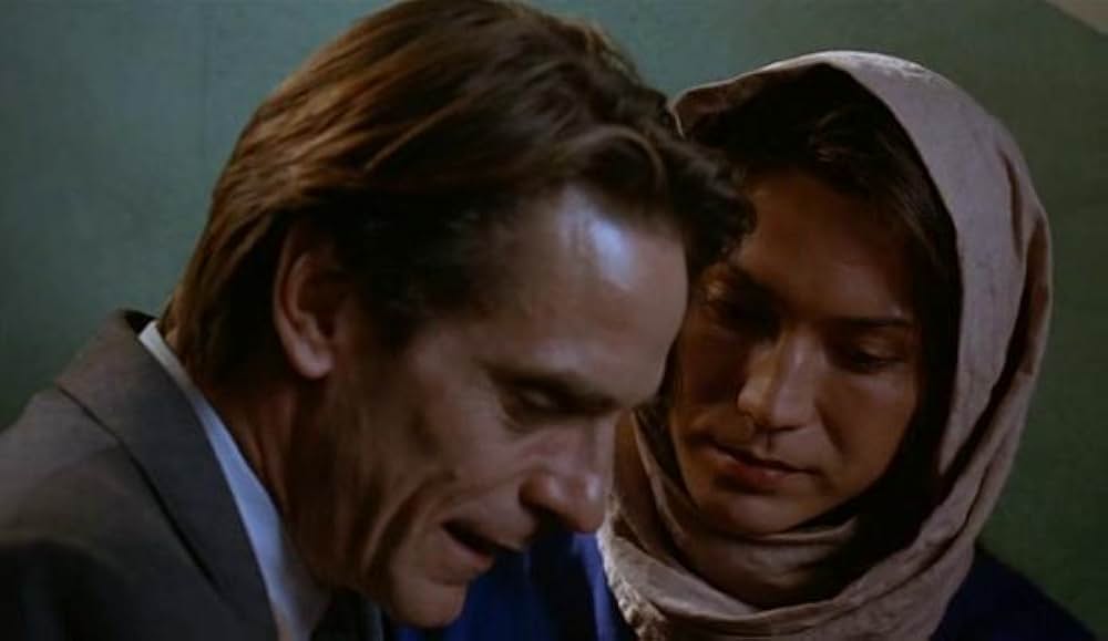 エム・バタフライの画像