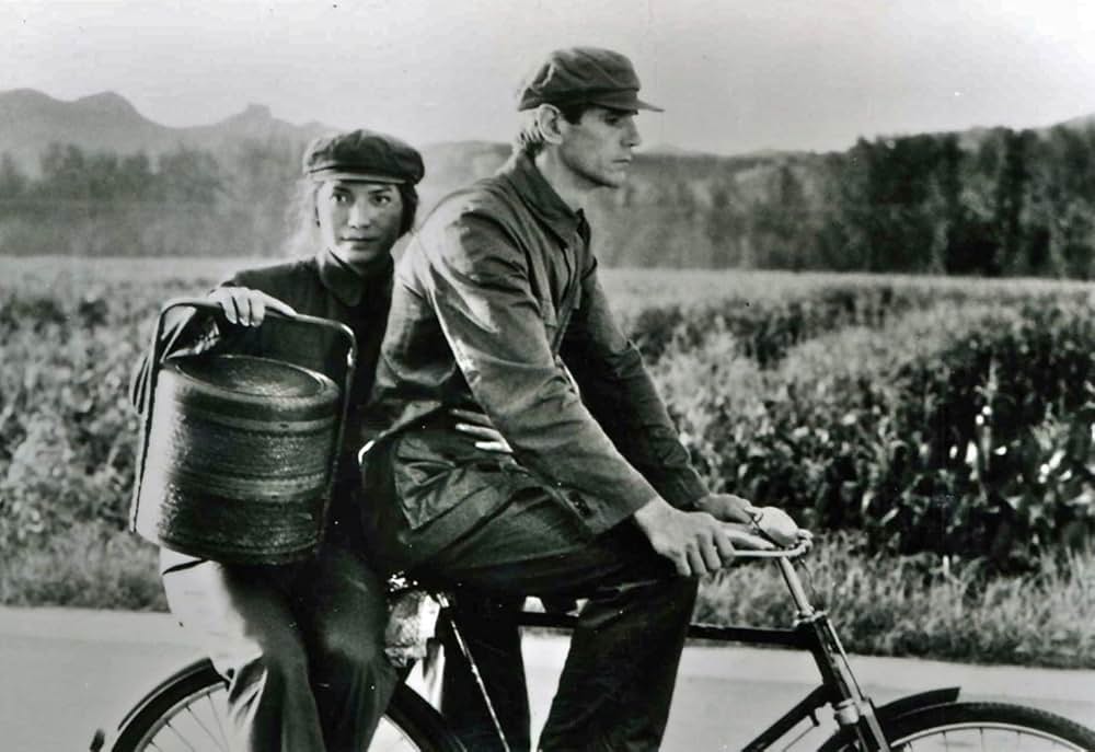 エム・バタフライの画像