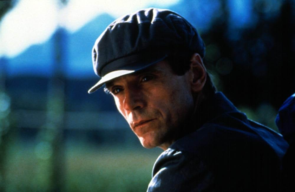 エム・バタフライの画像