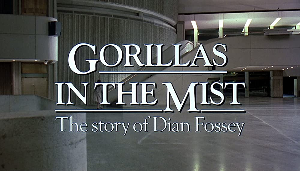 愛は霧のかなたにの画像