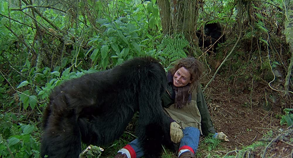 「愛は霧のかなたに」シガニー・ウィーバーの画像