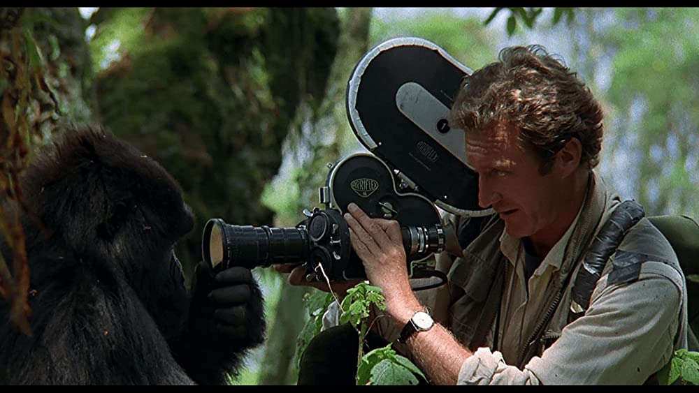 愛は霧のかなたにの画像